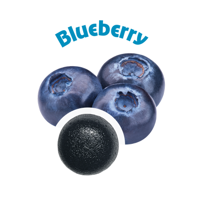 Blueberry